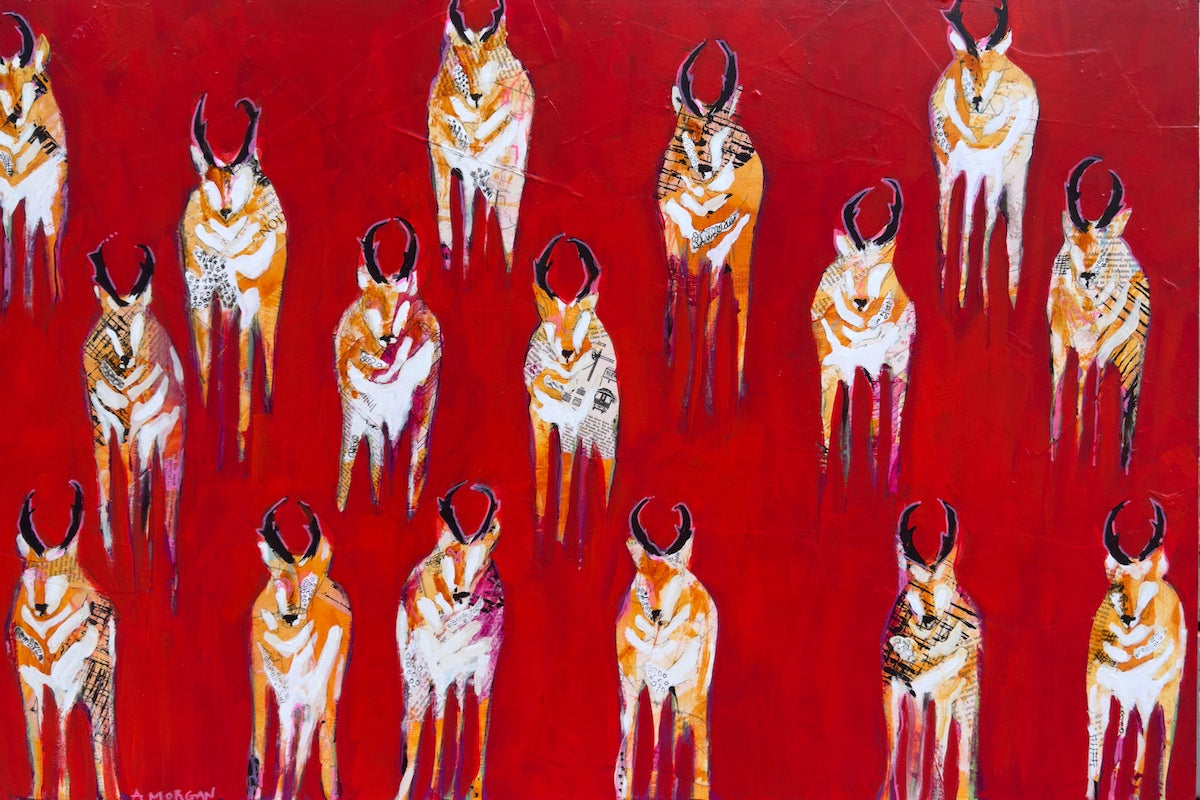 Pronghorn Salsa by Andrea Morgan