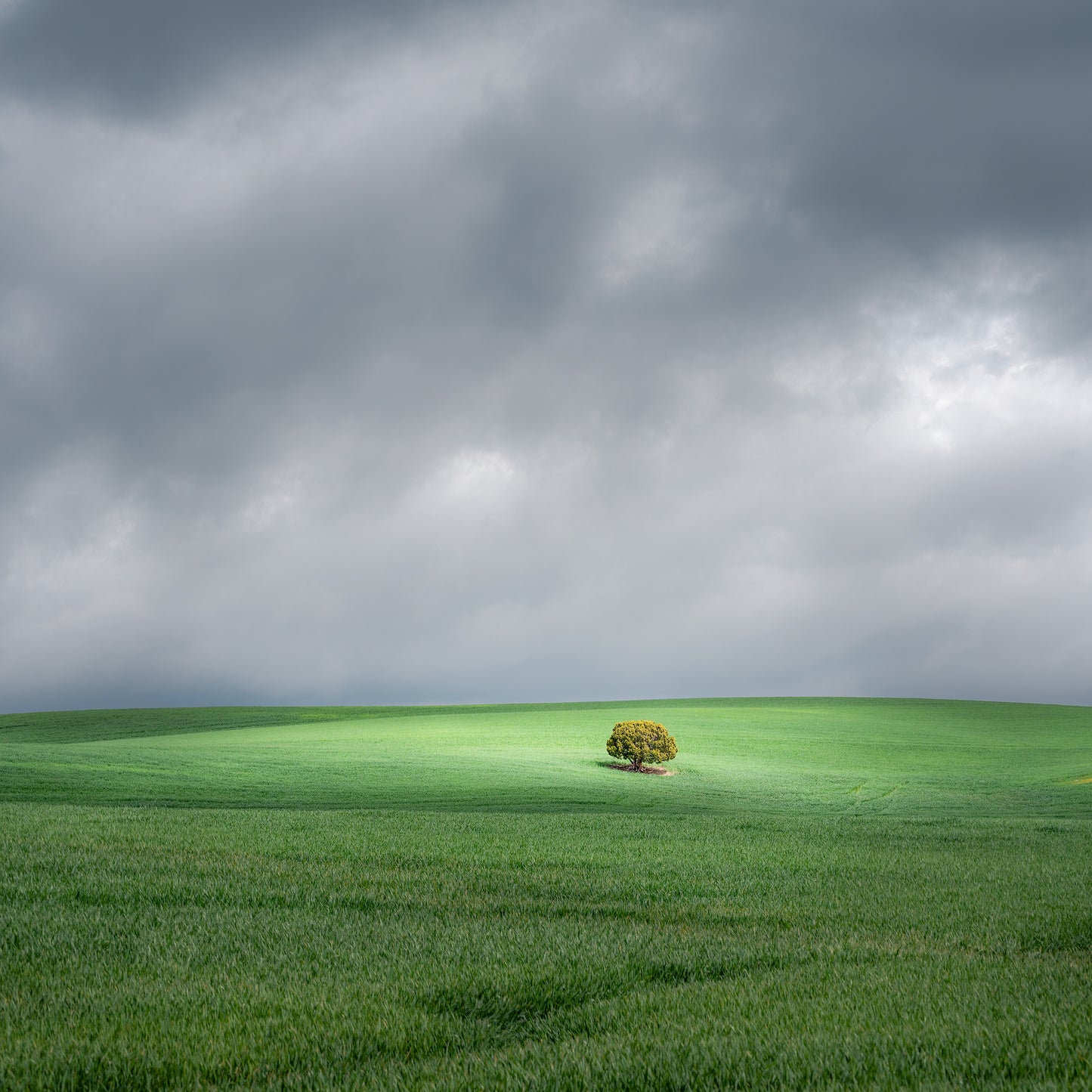 "A Quiet Mind" By George Kalantzes