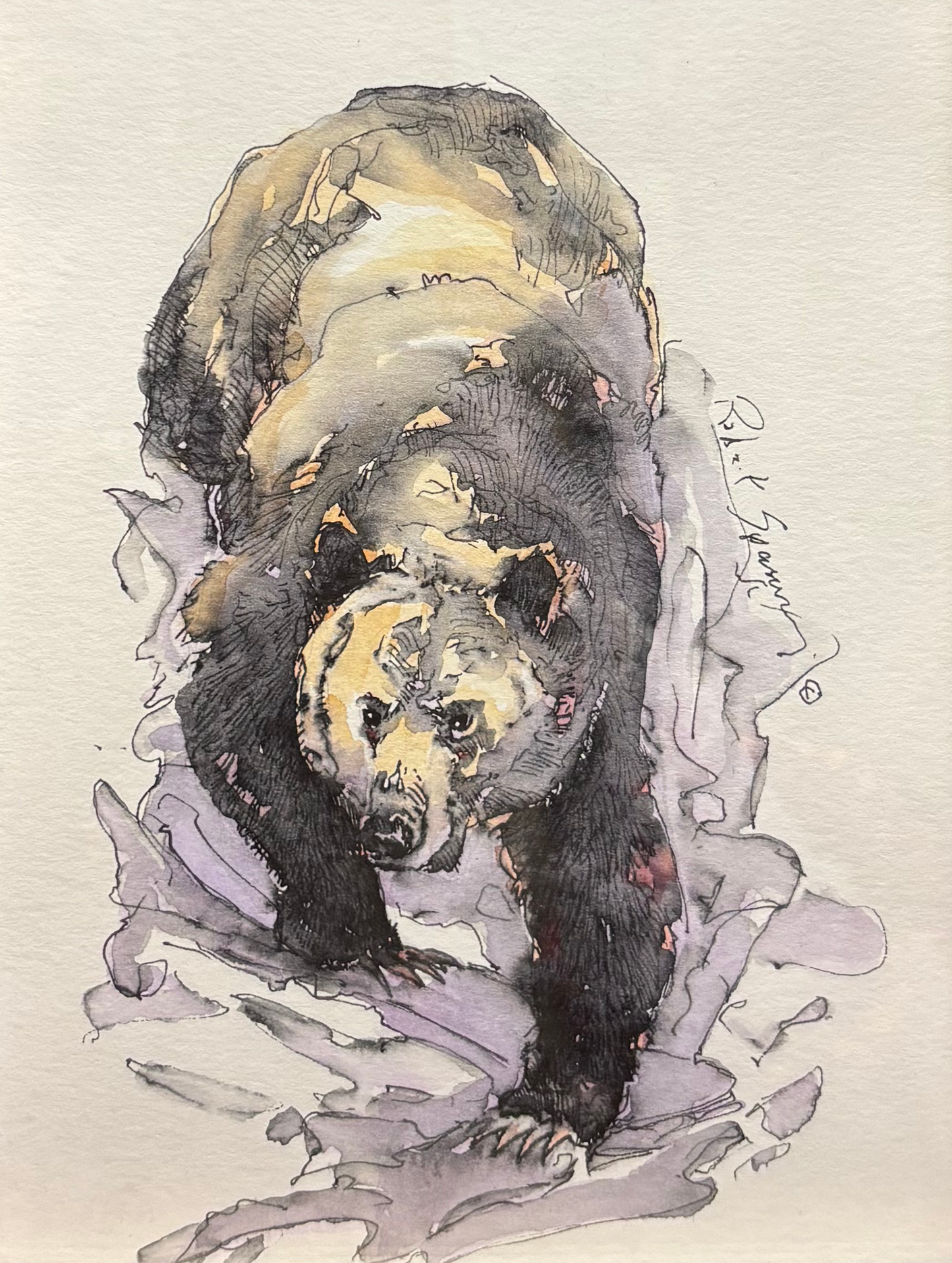 "Coming Down" By Robert Spannring