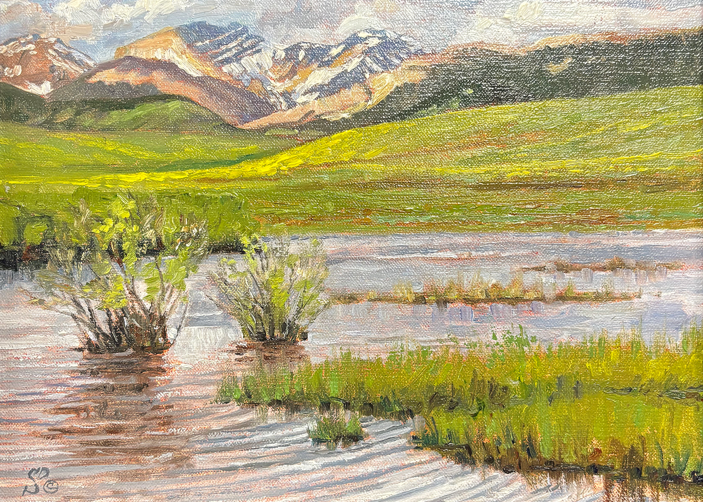 "Augusta Wetlands" By David Swanson