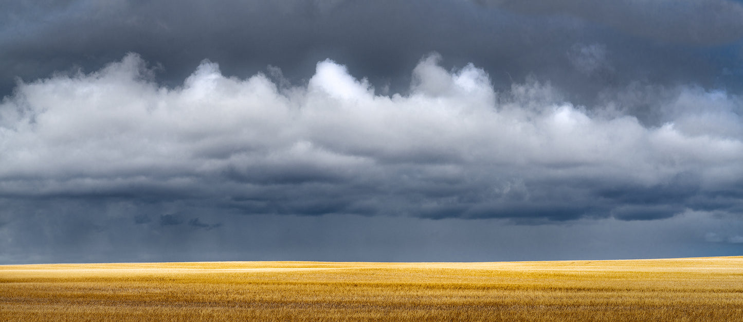 "Why I Do This" By George Kalantzes