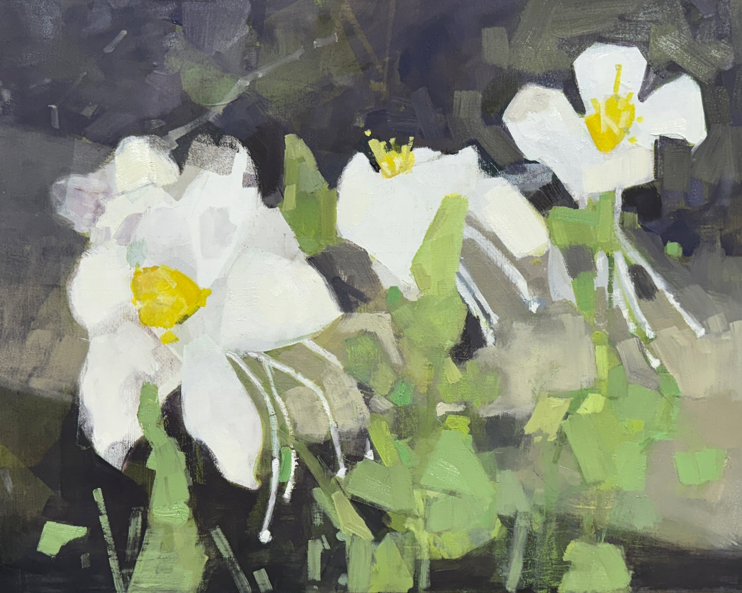 Columbine Flower