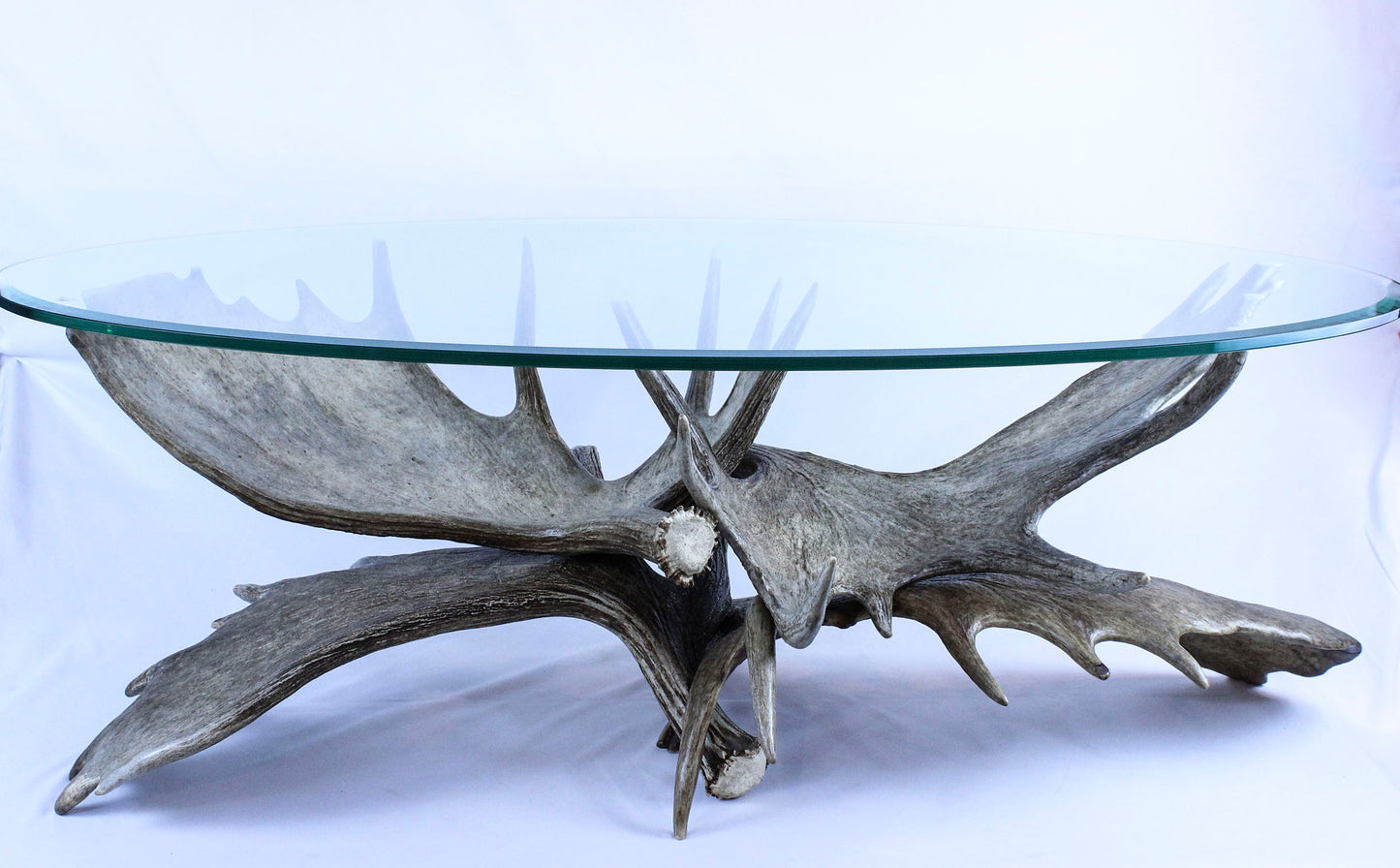 Glass Top Moose Antler Table by Bryan Mackie