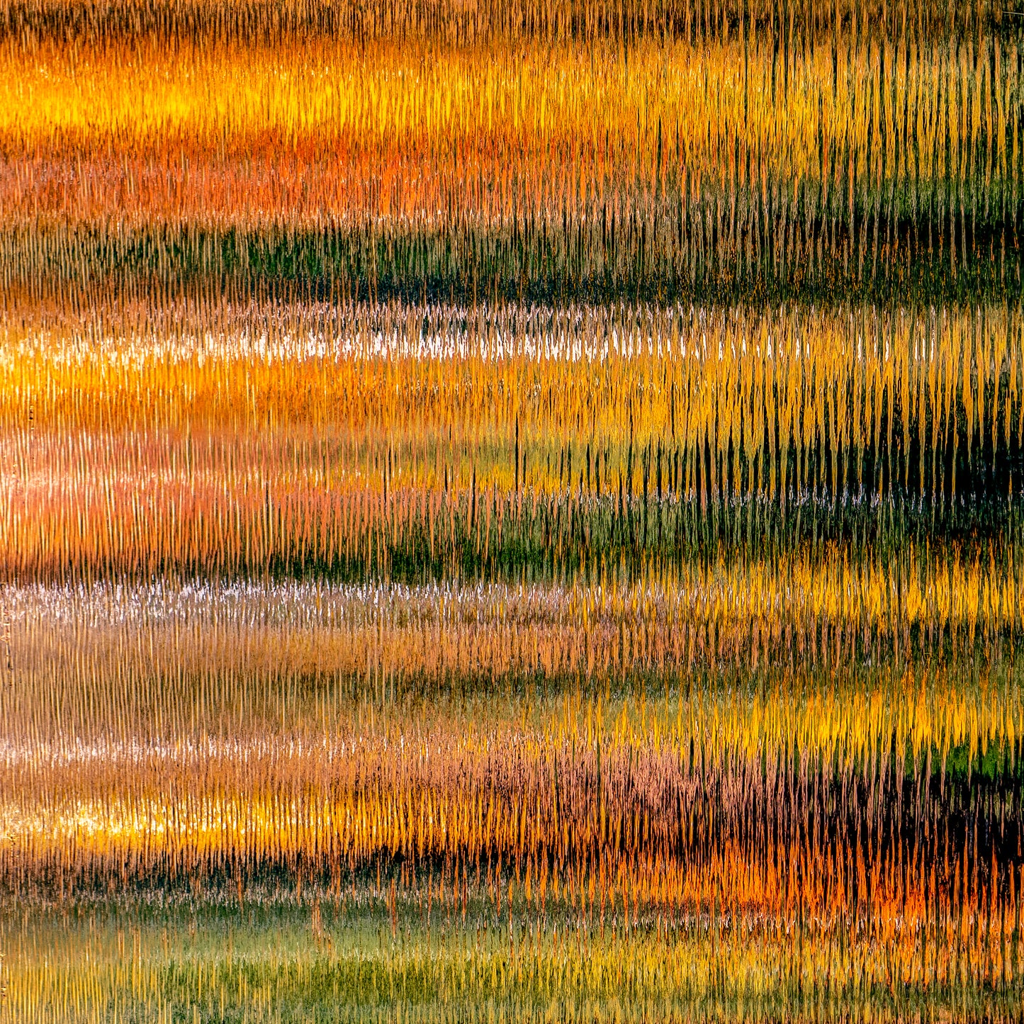 "Navajo Blanketed" By George Kalantzes