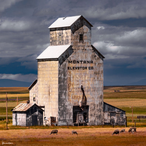"Montana Memories" By George Kalantzes