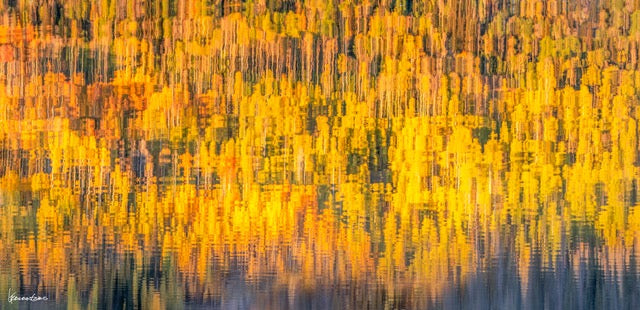 "Vibrance of Viscosity" By George Kalantzes