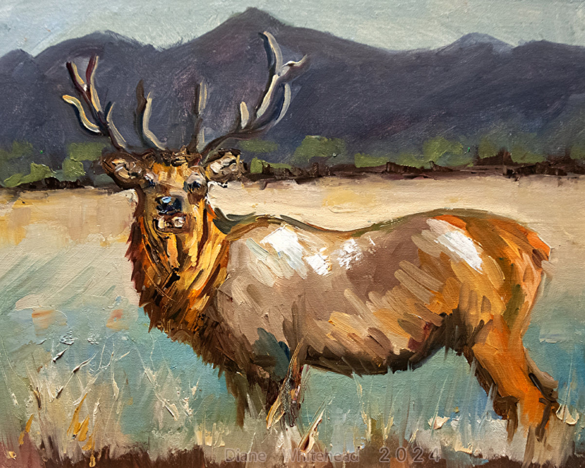 "Boss of the Valley" By Diane Whitehead