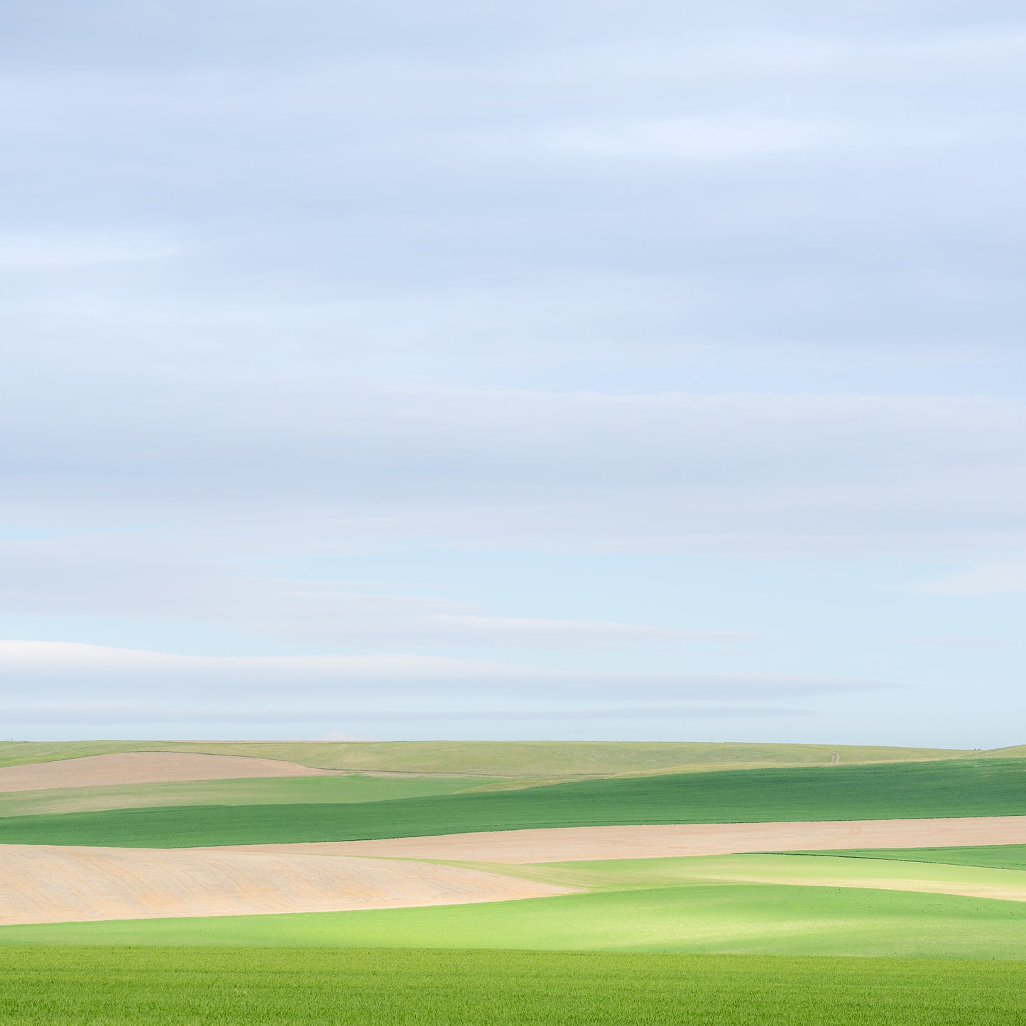 "Feels So Good" By George Kalantzes