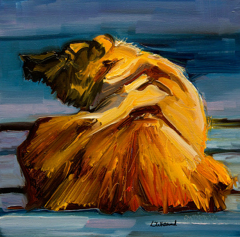 "Bear Buddy" By Diane Whitehead