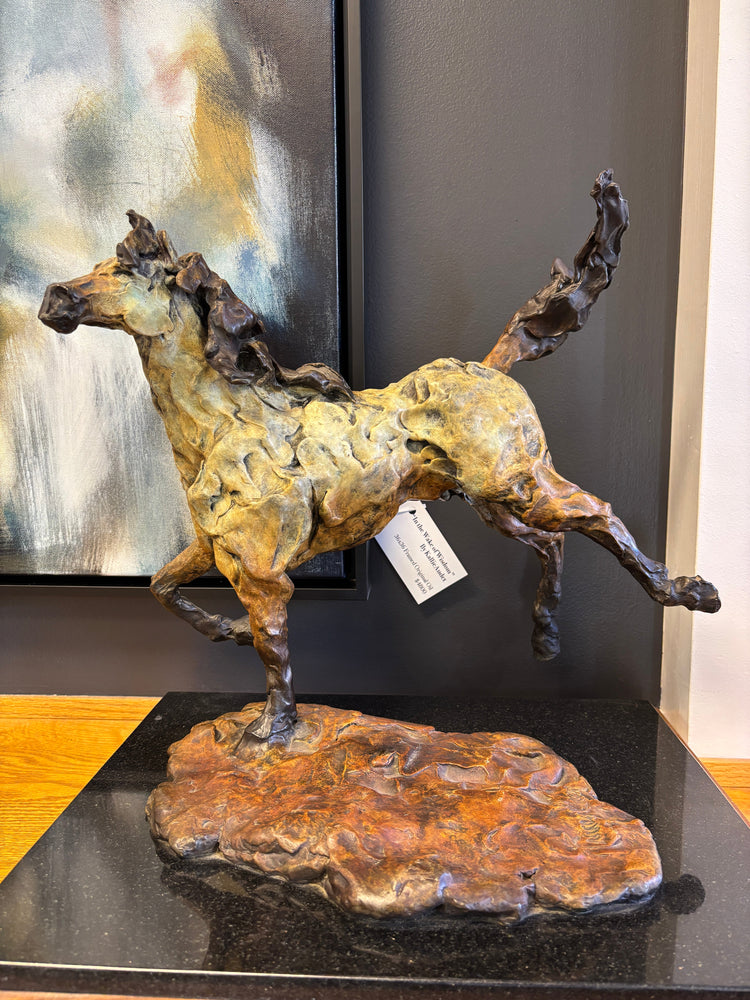 Tracey Gaan