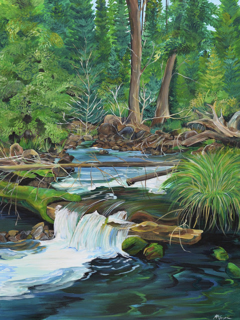 "Stonewall Creek " By Allison McGree