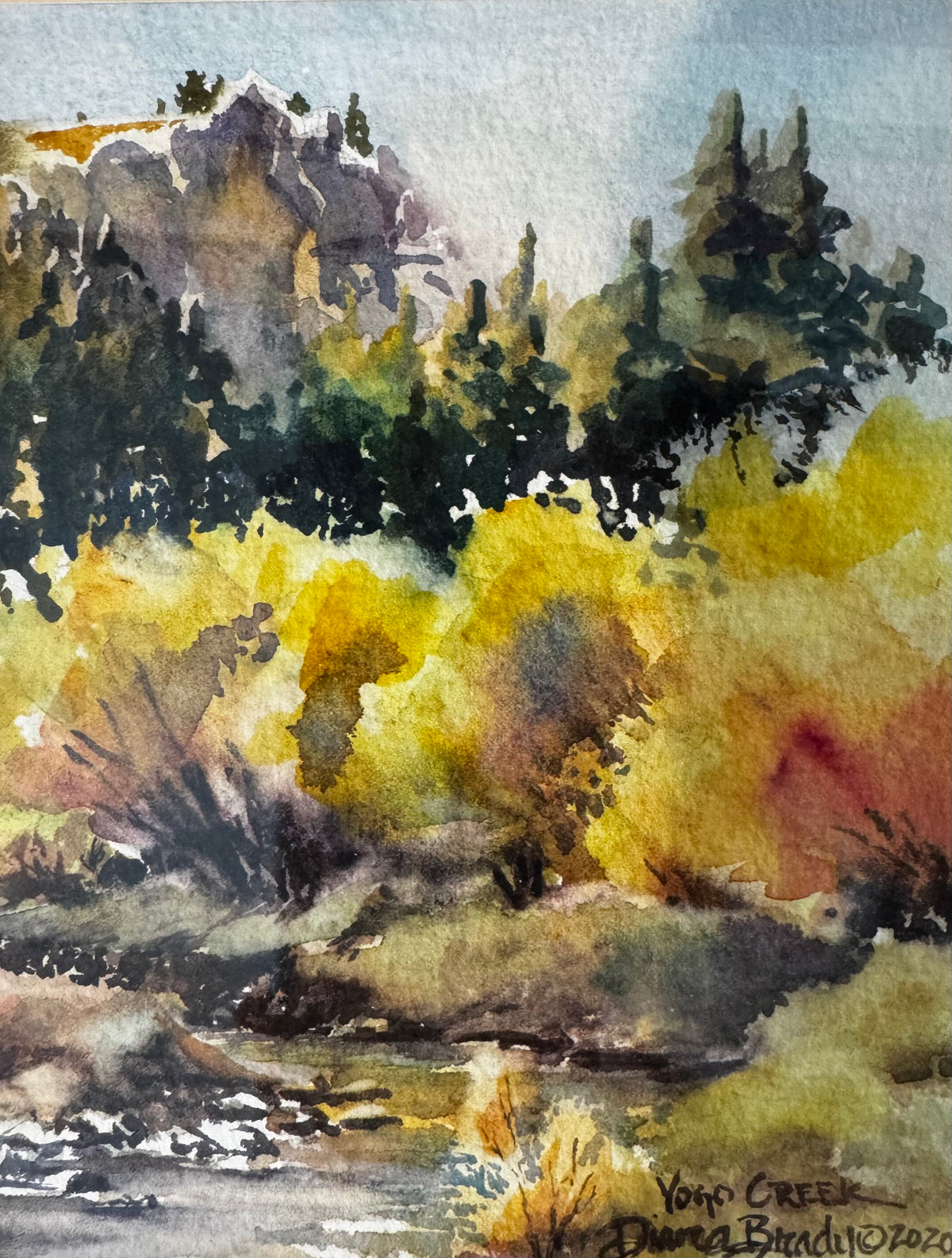 "Yogo Creek" by Diana Brady