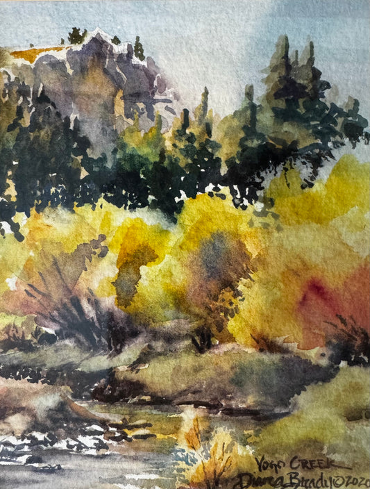 "Yogo Creek" by Diana Brady