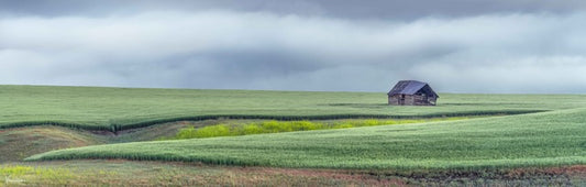 "Home Space" By George Kalantzes