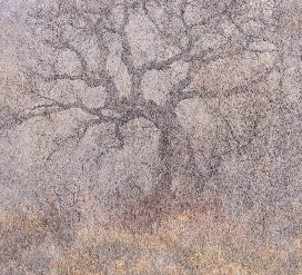 "Elemental" By George Kalantzes