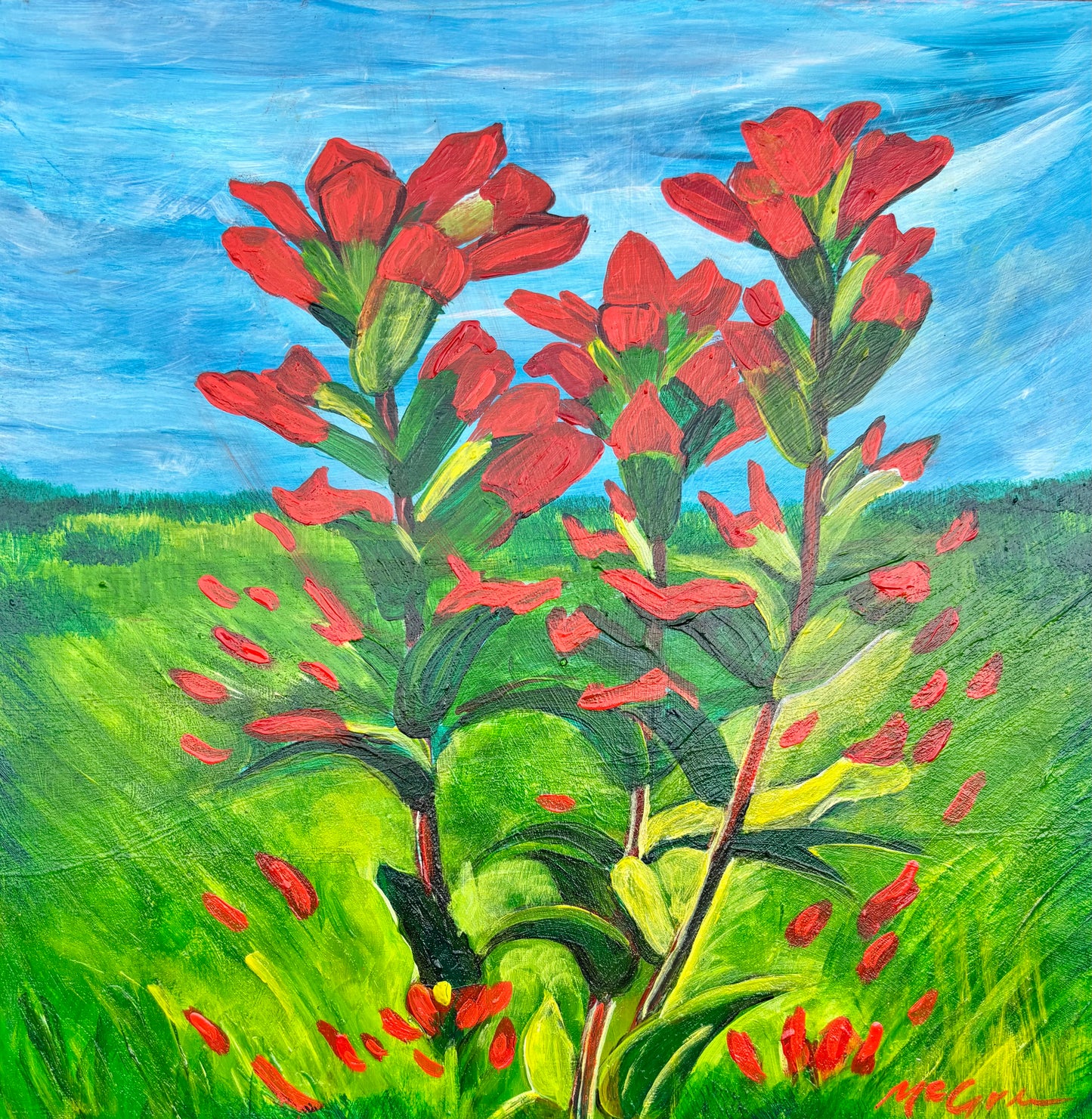"Indian Paintbrush" By Allison McGree