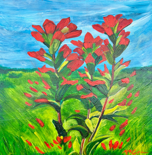 "Indian Paintbrush" By Allison McGree