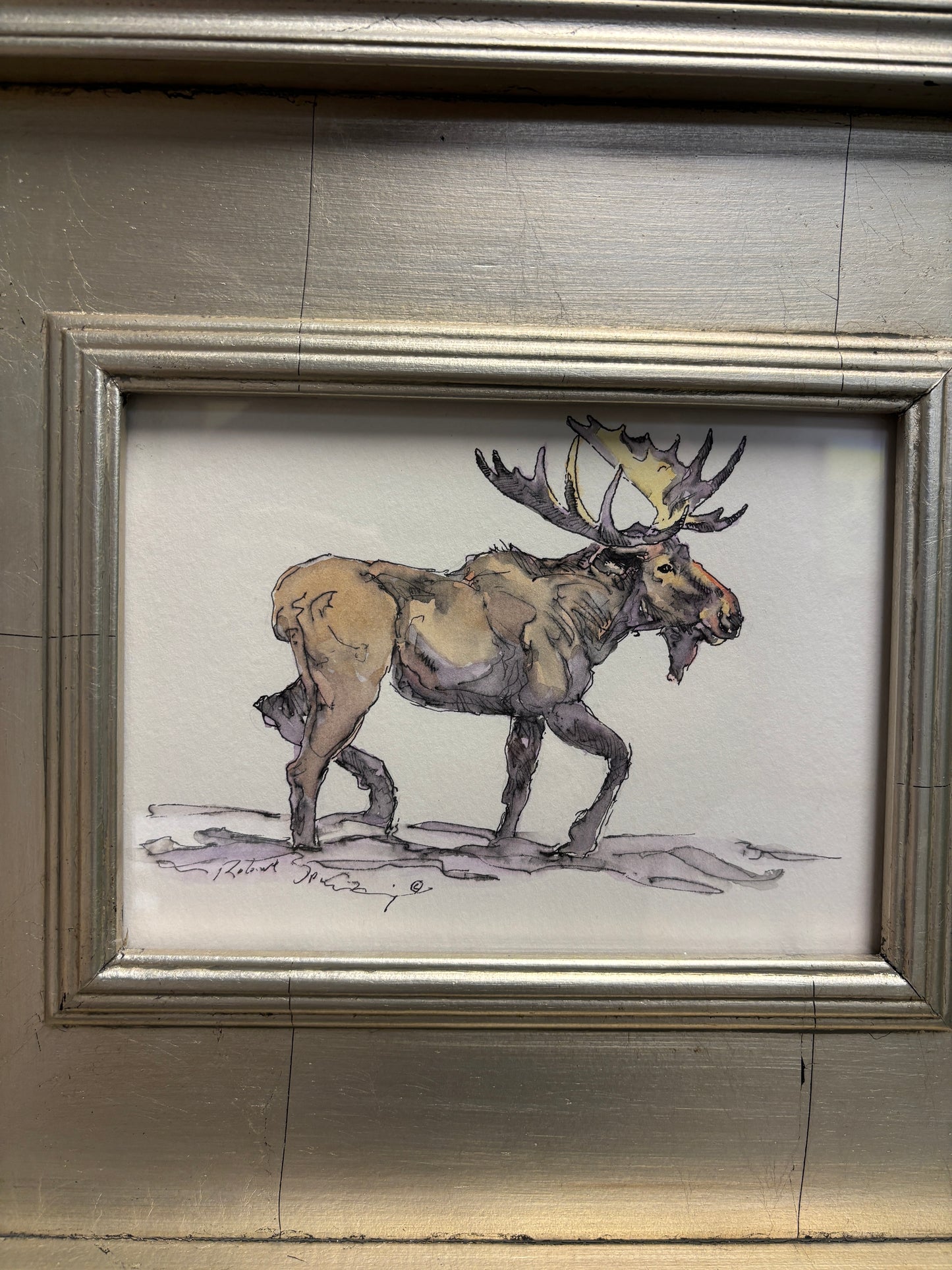 "Moose in Mud Hole" By Robert Spannring