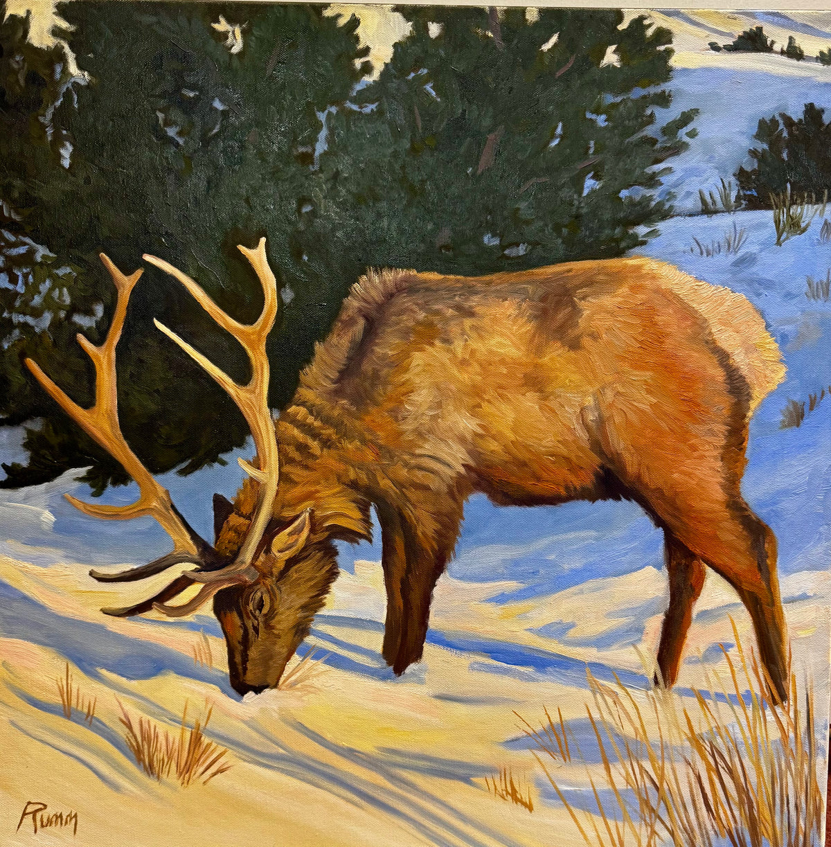 "Elk in Yellowstone, Early Spring" By Faith Rumm