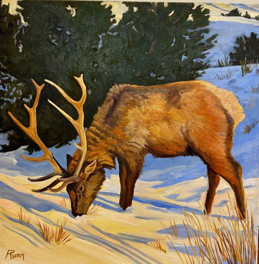 "Elk in Yellowstone, Early Spring" By Faith Rumm