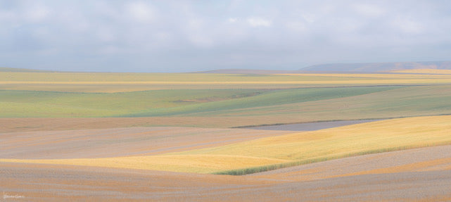 "Something New" By George Kalantzes