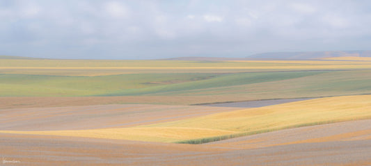 "Something New" By George Kalantzes