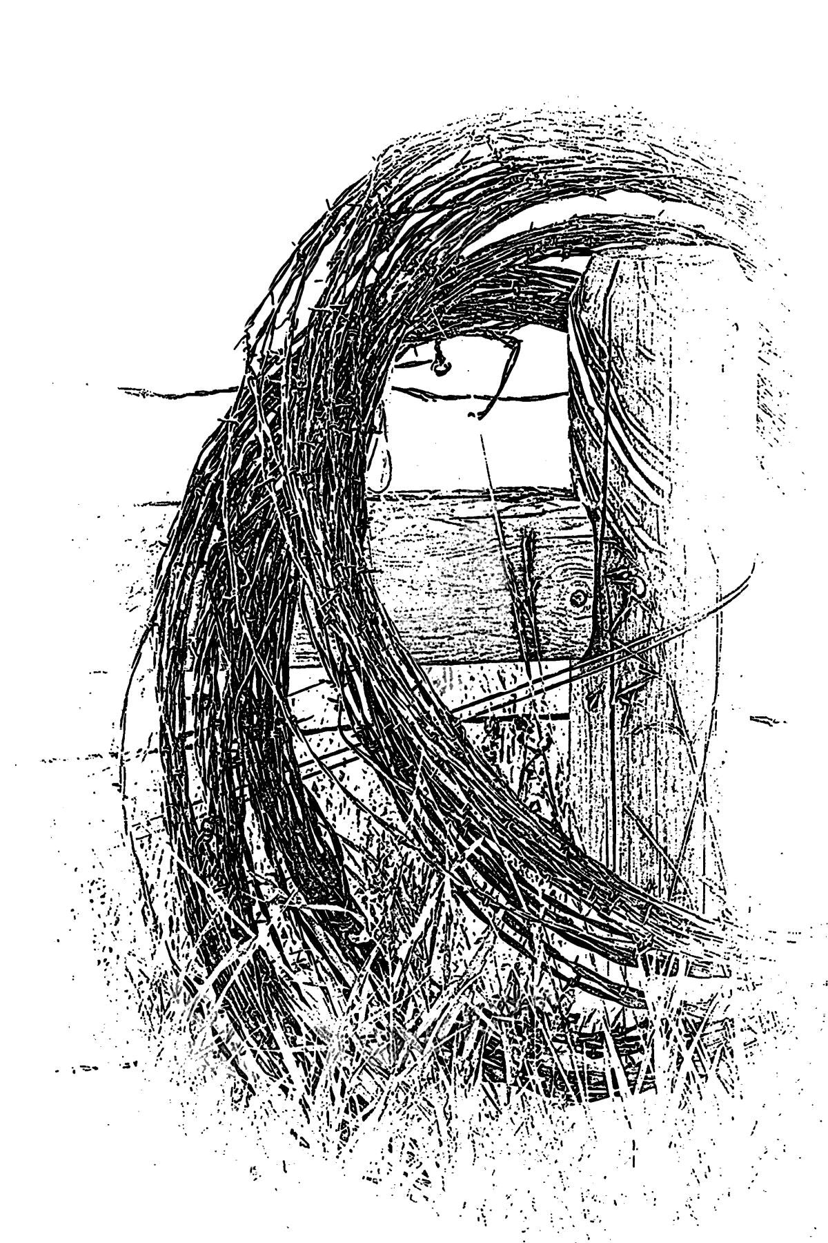 "Still Waiting" by Larry Poole