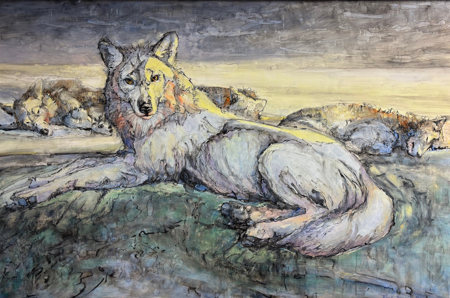 "White Wolf" By Robert Spannring