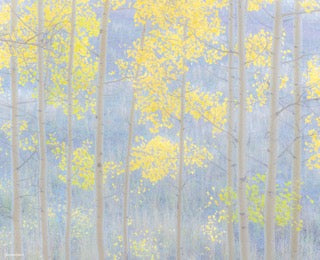 "Window on the World" By George Kalantzes