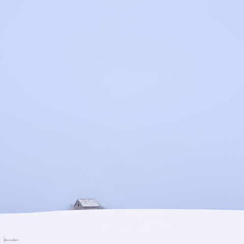 "Winter Respite" By George Kalantzes