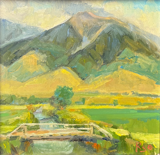 "Bridge on Canal" By Robert Spannring