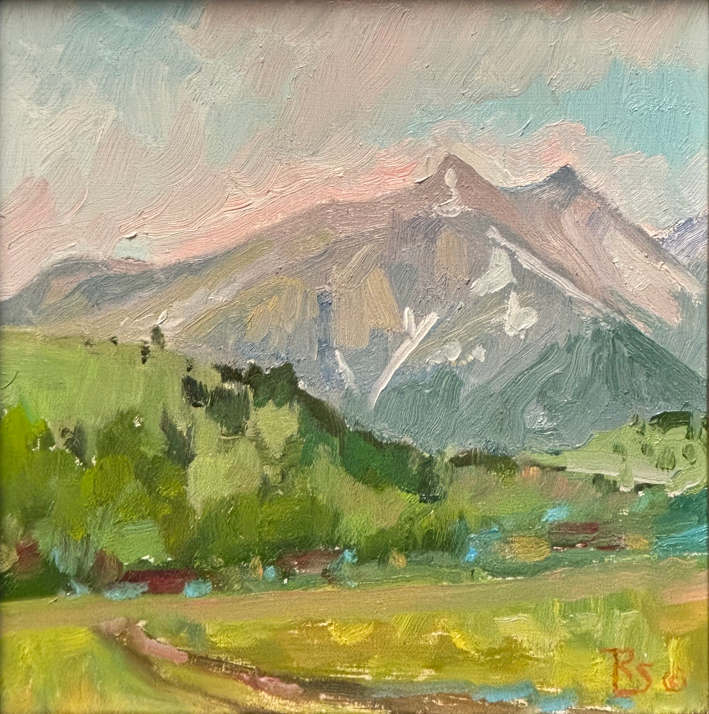 "Color in the Crazies" By Robert Spannring