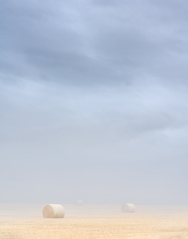 "Misty Morning" By George Kalantzes