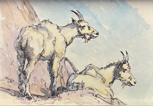 "On the Rocks" By Robert Spannring